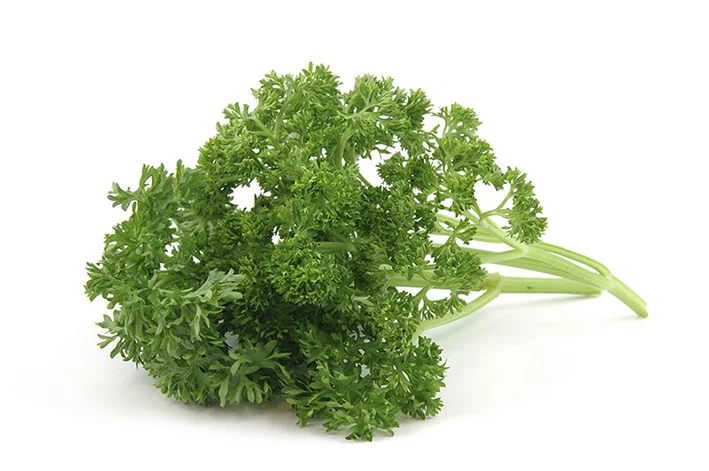 curly parsley leaves-category