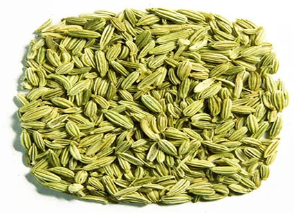 fennel-category